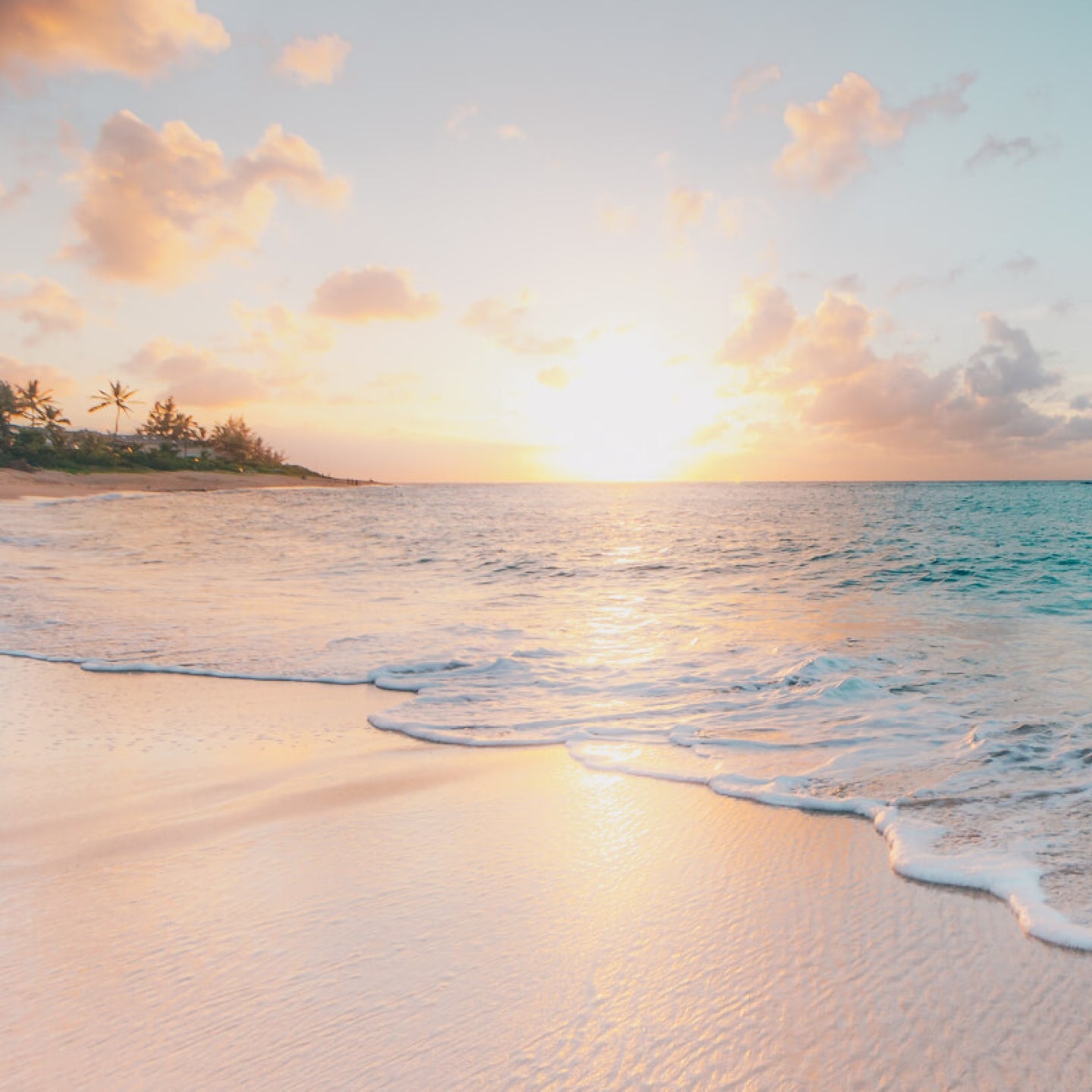 image sunscape dominican beach
